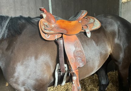 IMG_8432-min.jpeg IMG_8432-min.jpeg