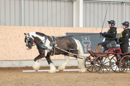 SPE_2155.jpeg SPE_2155.jpeg