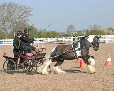 att.DNajCjQR14RNeXM39VTEY5oB3TTdaPPC3LhTIlp85q4.jpeg att.DNajCjQR14RNeXM39VTEY5oB3TTdaPPC3LhTIlp85q4.jpeg