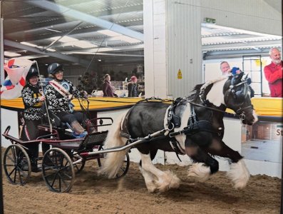 IMG_4910.jpeg IMG_4910.jpeg