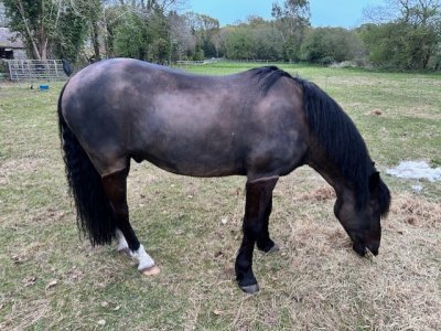 Nero Coat Change 1.jpg