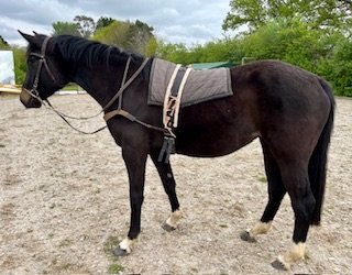 IMG_7605.jpeg IMG_7605.jpeg