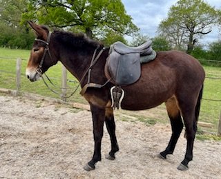 IMG_7603.jpeg IMG_7603.jpeg