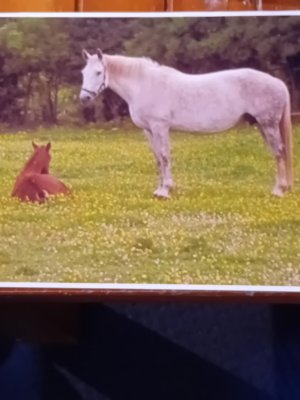 Messenger_creation_879FC1EF-19D6-4D01-A943-5AEBE7FEABF5.jpeg