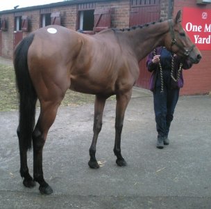 Screenshot_20250416_075549_Photos.jpg Screenshot_20250416_075549_Photos.jpg