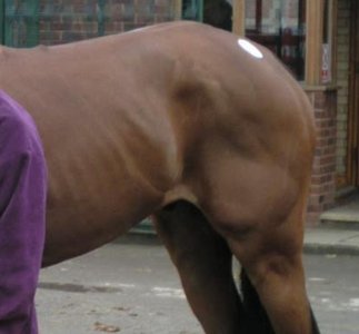 Screenshot_20250416_075741_Photos.jpg Screenshot_20250416_075741_Photos.jpg