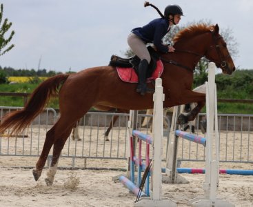 IMG_3568(1)(1).jpg IMG_3568(1)(1).jpg