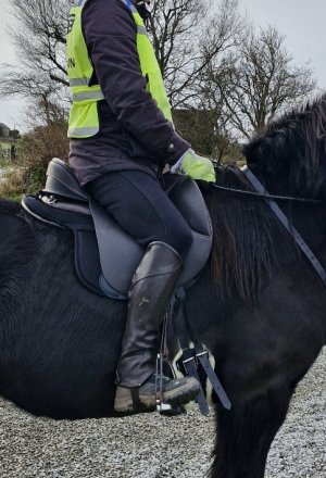 20241206_104824.jpg 20241206_104824.jpg