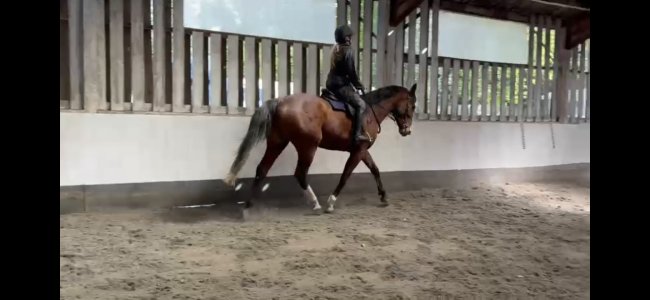 Screenshot_20250417_093413_Video Player.jpg Screenshot_20250417_093413_Video Player.jpg