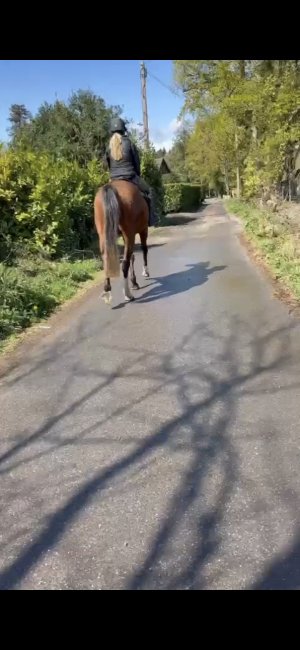 Screenshot_20250417_092959_Video Player.jpg Screenshot_20250417_092959_Video Player.jpg