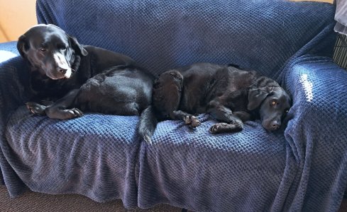 Jessie home.jpg Jessie home.jpg