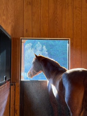 cbb5d220-423e-4adf-bb91-99ec0c458678.jpeg cbb5d220-423e-4adf-bb91-99ec0c458678.jpeg