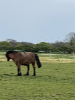 IMG_7051.jpeg