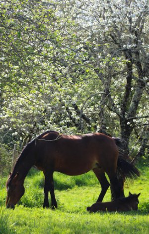 3E0A9682.jpg 3E0A9682.jpg