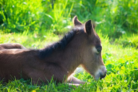 3E0A9688.jpg 3E0A9688.jpg