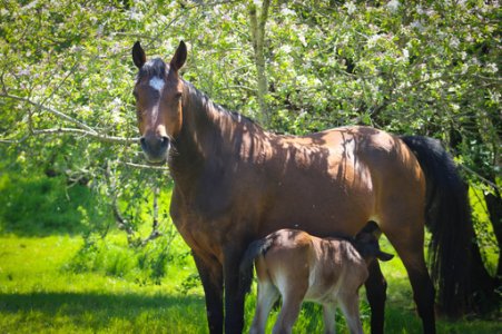 3E0A9723.jpg 3E0A9723.jpg