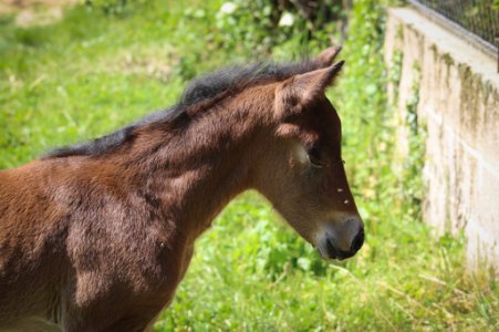 3E0A9730.jpg 3E0A9730.jpg