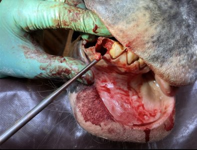 IMG_2316.jpeg IMG_2316.jpeg