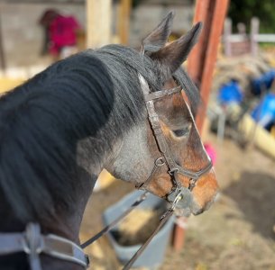 IMG_9169.jpeg IMG_9169.jpeg