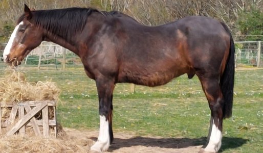 Screenshot_20250420_152957_Gallery.jpg Screenshot_20250420_152957_Gallery.jpg