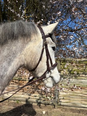 IMG_2268.jpeg IMG_2268.jpeg