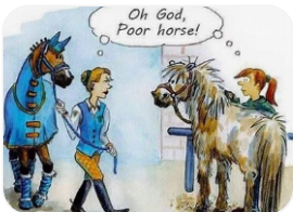 Poor Horse.png