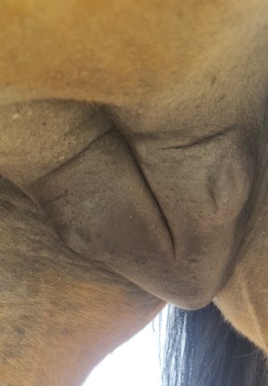 Screenshot_20250422_170637_Gallery.jpg Screenshot_20250422_170637_Gallery.jpg