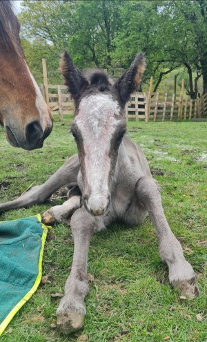 Screenshot_20250423_180124_Gallery.jpg Screenshot_20250423_180124_Gallery.jpg