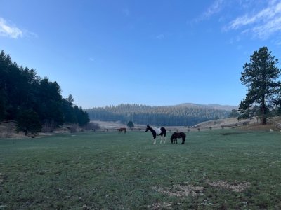 IMG_8655.jpeg IMG_8655.jpeg