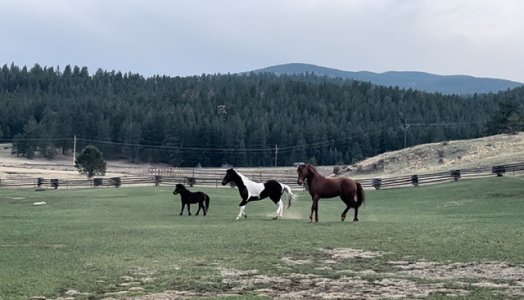 IMG_8642.jpeg IMG_8642.jpeg