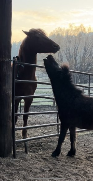 IMG_8671.jpeg IMG_8671.jpeg