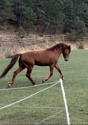 IMG_8672.jpeg IMG_8672.jpeg