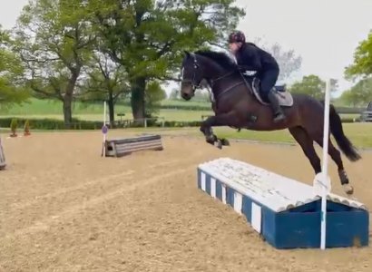 IMG_8490.jpeg IMG_8490.jpeg