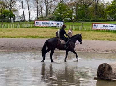 IMG_8495.jpeg IMG_8495.jpeg