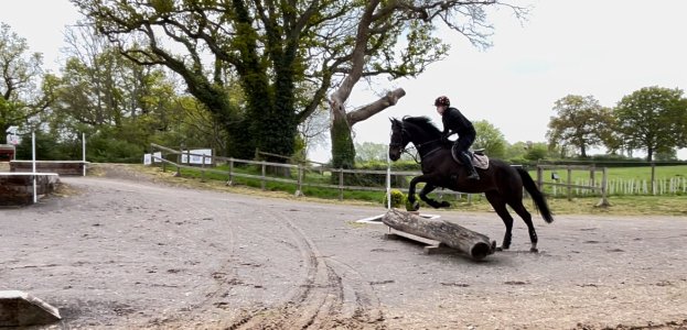 IMG_8493.jpeg IMG_8493.jpeg