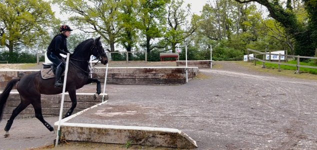 IMG_8492.jpeg IMG_8492.jpeg