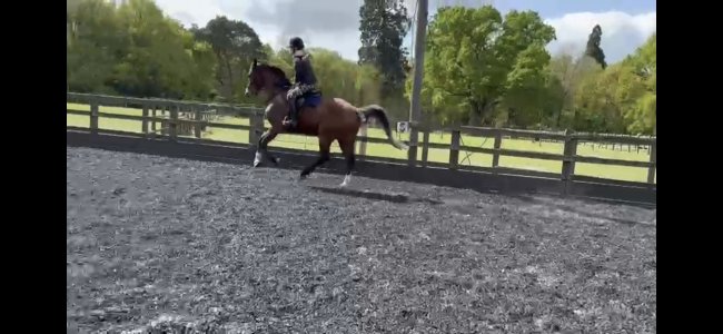 Screenshot_20250423_092023_Video Player.jpg