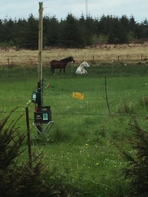 Image 24-05-2020 at 18.37.jpg