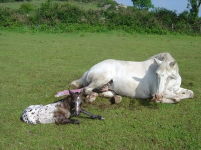 IMG_1051.png IMG_1051.png