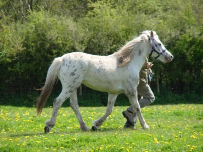 IMG_1045.png IMG_1045.png