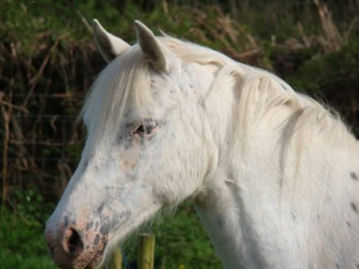 IMG_1046.png IMG_1046.png