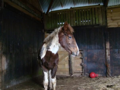 IMG_1050.png IMG_1050.png