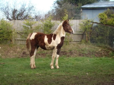 IMG_1047.png IMG_1047.png