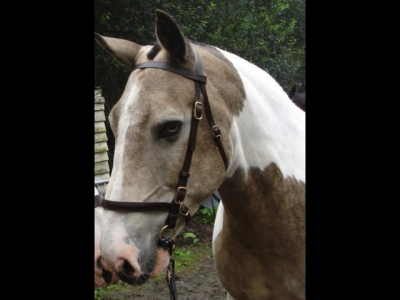 IMG_1048.png IMG_1048.png