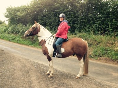 IMG_3243.jpeg IMG_3243.jpeg