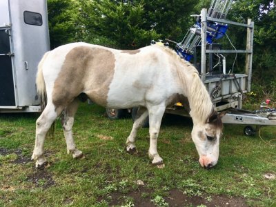 IMG_3332.jpeg IMG_3332.jpeg