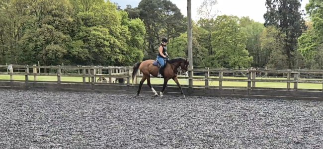 Screenshot_20250425_223104_Gallery_remastered.jpg Screenshot_20250425_223104_Gallery_remastered.jpg