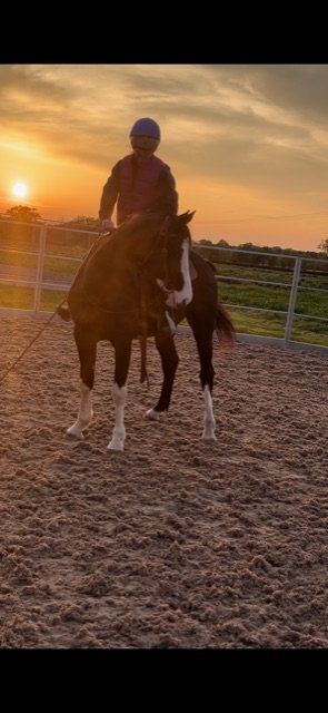 5A285B18-9DAD-4CC0-BFC8-6CB5F861368C.jpeg 5A285B18-9DAD-4CC0-BFC8-6CB5F861368C.jpeg