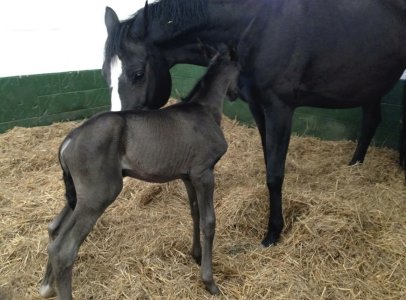 IMG_6837.jpeg IMG_6837.jpeg