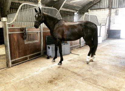 IMG_6838.jpeg IMG_6838.jpeg